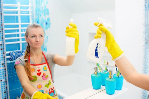 Professional mattress cleaning process in Enfield