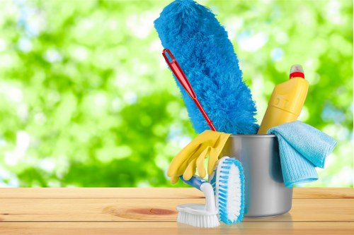 Professional pet stain odour removal in an Enfield living room carpet