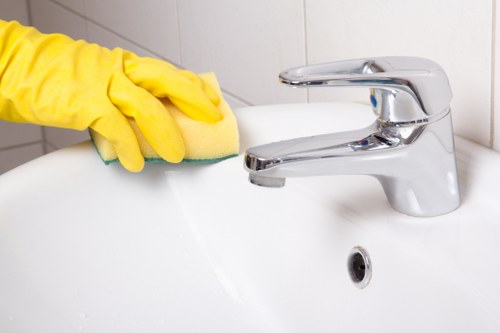 Carpet cleaning professional preparing safe equipment in a home setting
