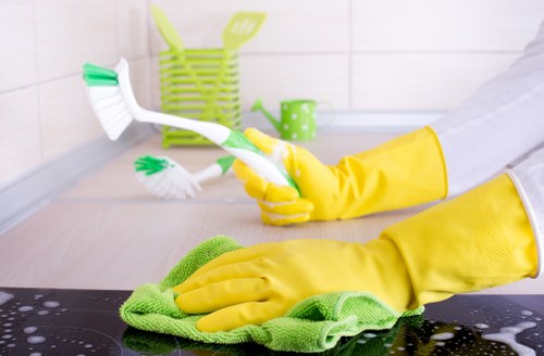 Carpet and upholstery stain cleaning in Enfield