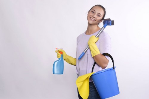 Upholstery cleaning process for a modern sofa in Enfield home