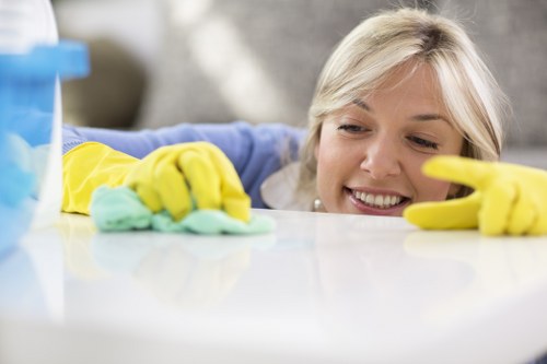 Fresh and clean interior after pet stain odour removal service