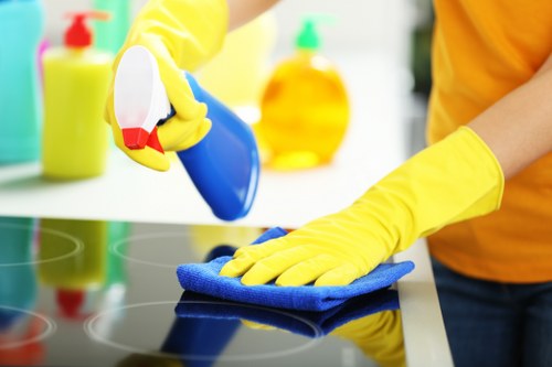 Careful cleaning of different upholstery fabrics in Enfield
